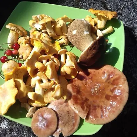 Dom wakacyjny Mosaique Accueil Rando, Peche, Farniente Latouille-Lentillac