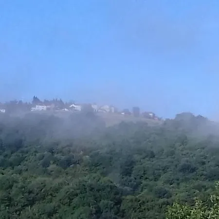 Mosaique Accueil Rando, Peche, Farniente * Latouille-Lentillac