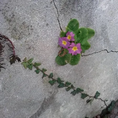 בית נופש Mosaique Accueil Rando, Peche, Farniente