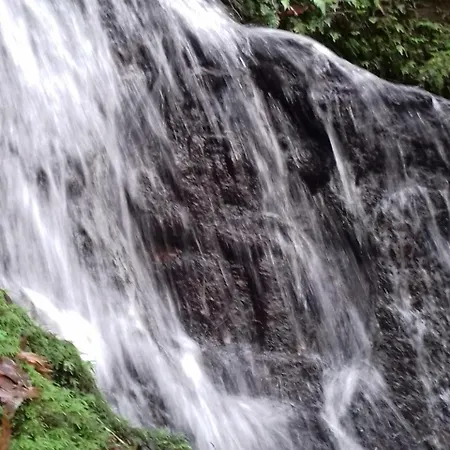 Mosaique Accueil Rando, Peche, Farniente *