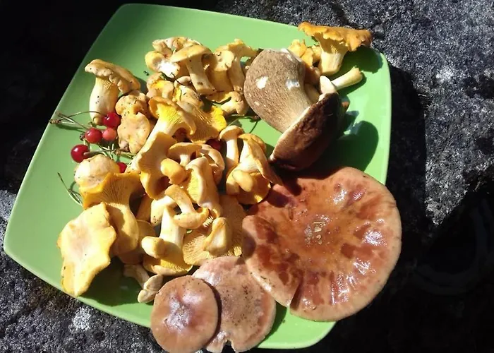 Hébergement de vacances Mosaïque Accueil Rando, Pêche, Farniente Latouille-Lentillac