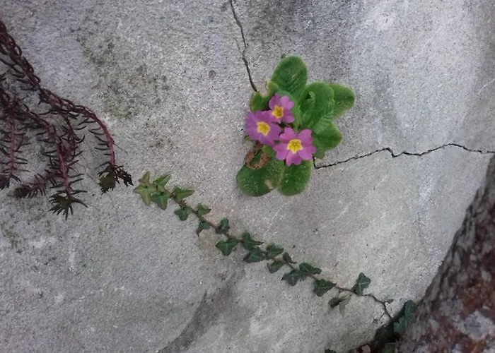 Nyaraló Mosaique Accueil Rando, Peche, Farniente