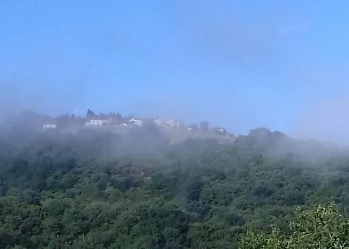 Mosaique Accueil Rando, Peche, Farniente * Latouille-Lentillac