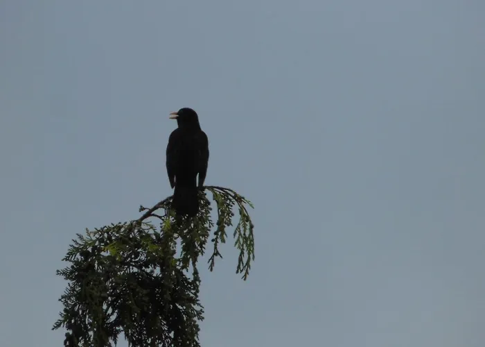 Mosaïque Accueil Rando, Pêche, Farniente *